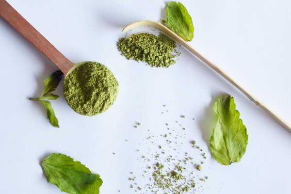 Peppermint Matcha - 10 g