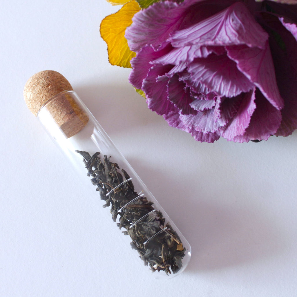 Tube Tea Diffuser Glass Test Tube Infuser – Gardner Street Tea